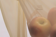 2f4d6d5a36b60db873bb3a073d886dd1.png